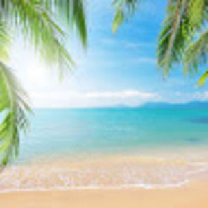 Meet your Posher, Stella